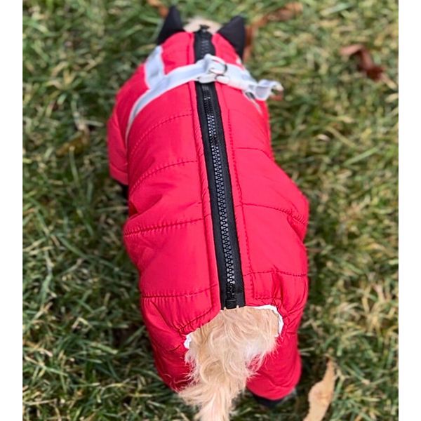 black zipper design on back for convenience of putting on and taking off