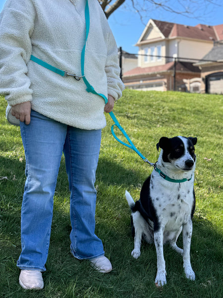 Black and white big dog Carson and his owner modeling the handsfree leash in the colour Aqua