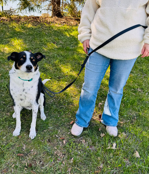 Black and white dog Carson and his owner modeling the handsfree leash in the colour Black