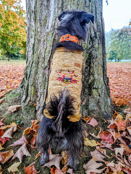 Mustard devil fleece lined shirts with stunning image on the back