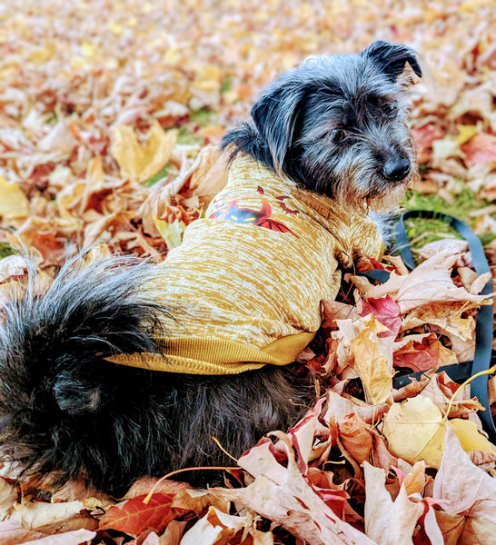 Mustard devil fleece lined shirts with stunning image on the back