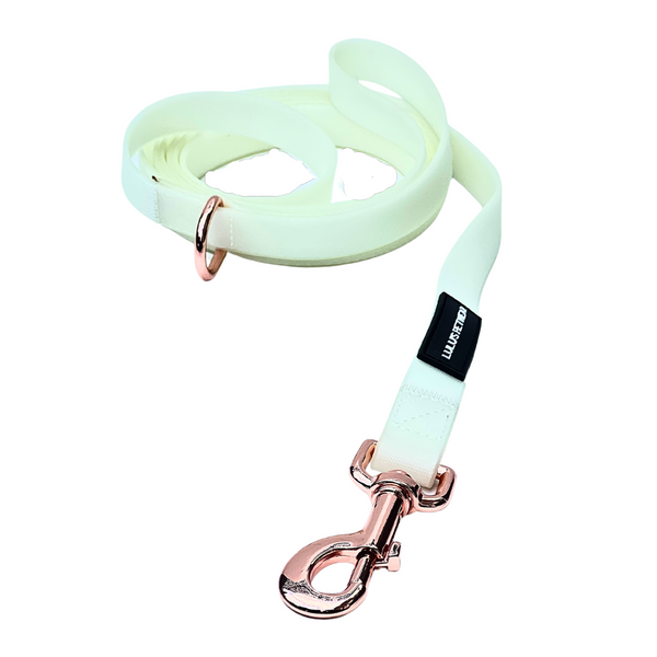 day time view pretty white glow in the dark lucent soft pvc biothane waterproof dog leash with rose gold 360 degree swivel hook and D ring for poop bag holder