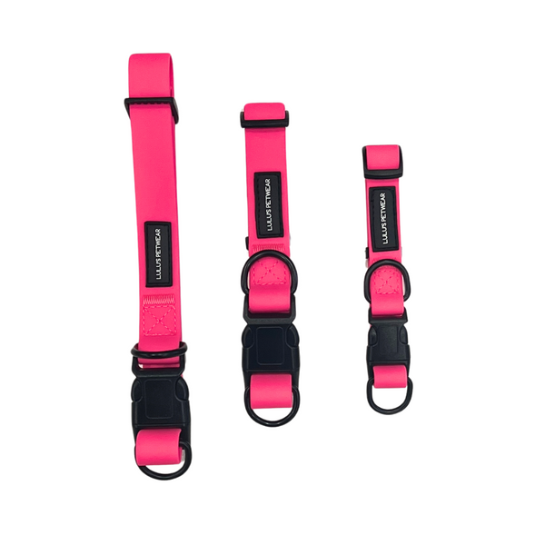 Barbie Pink water-resistant collars with Black double D rings/ and black adjustable quick release buckle