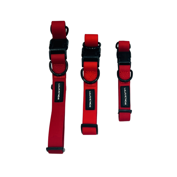 Carmine red water-resistant collars with Black double D rings/ and black adjustable quick release buckle