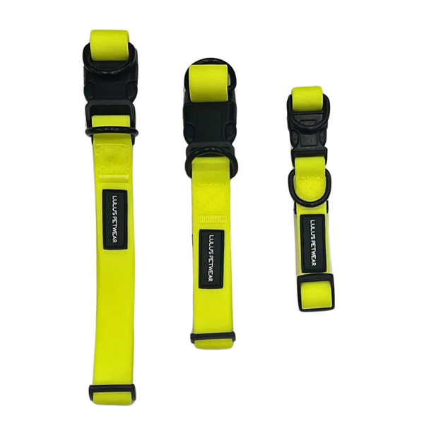 Electric yellow water-resistant collars with Black double D rings/ and black adjustable quick release buckle