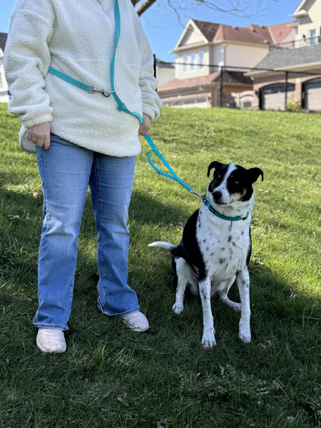 Black and white big dog Carson and his owner modeling the handsfree leash in the colour Aqua