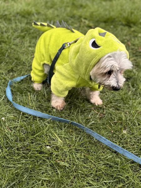 Adorable dinosaur (four legged) pj's.