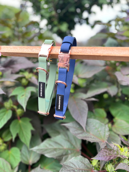 soft pvc biothane waterproof dog collar rose gold hardware in colour navy and sage with rose gold quick release buckle and rose gold D ring adjustable