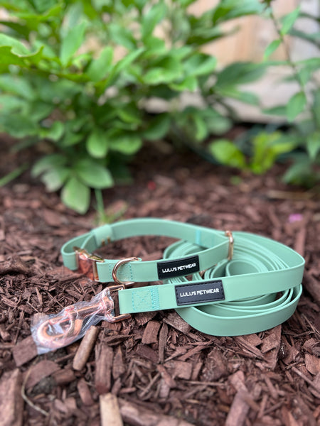 Luxury Sage waterproof leash with Rose gold 360 degree swivel hook and Rose Gold D ring for poop bag holder