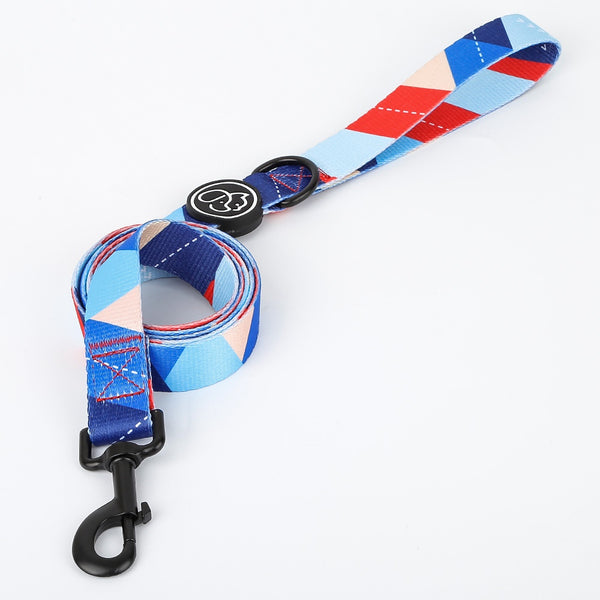 Good quality strong dog pet best collar and leash set Debbie leash