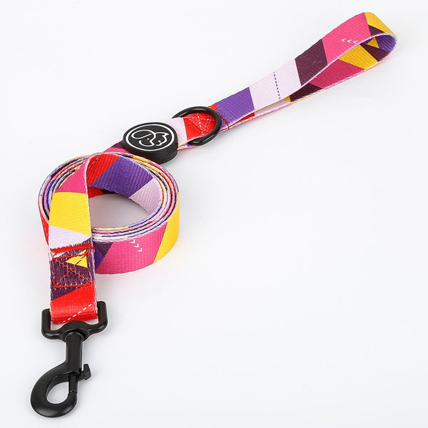 Good quality strong dog pet best collar and leash set Sunrise leash