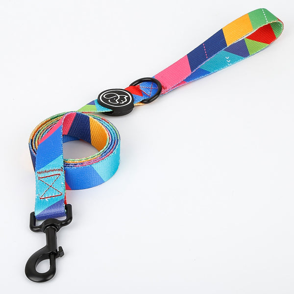 Good quality strong dog pet best collar and leash set Senmang leash