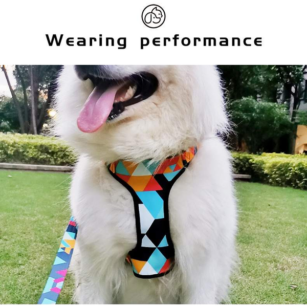 soft comfortable adjustable dog pet puppy harness and leash set Canada step in bright and colourful