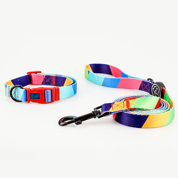 Bright geometrical dog collar and leash set with colours such as yellow, green, blue, with black metal D rings and 360 degree swivel snap hook and a red quick release buckle for safety. Name of set is Senmeng