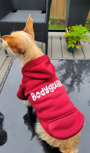 Customized dog shirts/hoodies