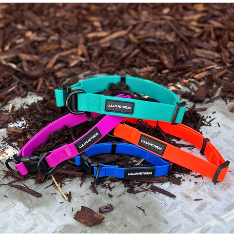 Small 1.5cm width medium 2cm width large 2.5cm width 4 vibrant colours with black quick release buckle two D rings for added safety