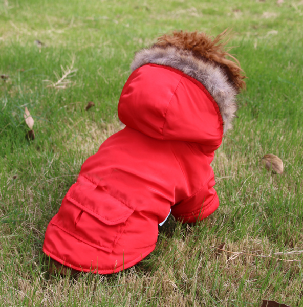 Candy Apple Red light-weight, wadded jacket