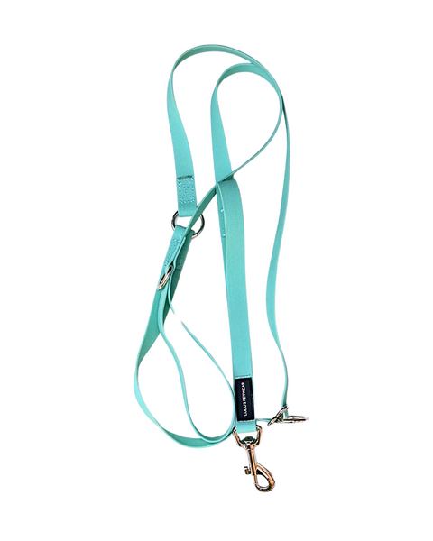 Seafoam green handsfree leash with silver metal 360 degree swivel hooks waterproof Canada