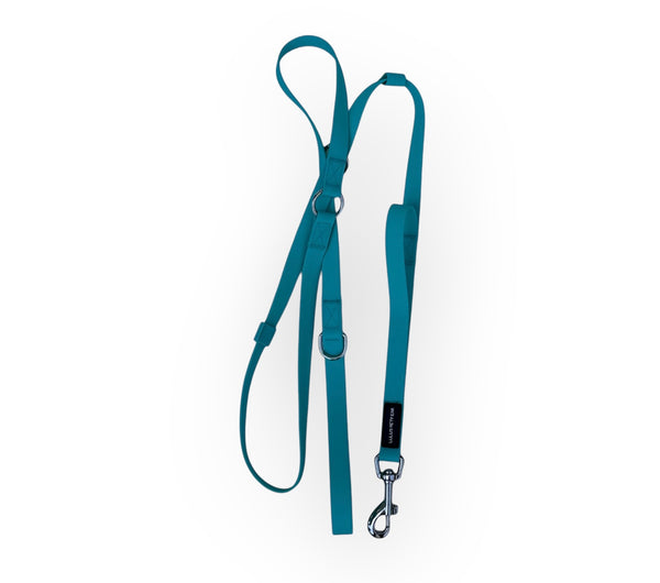Everyday walking leash with traffic handle