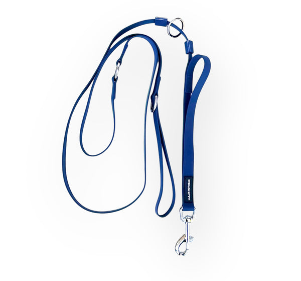 Everyday walking leash with traffic handle