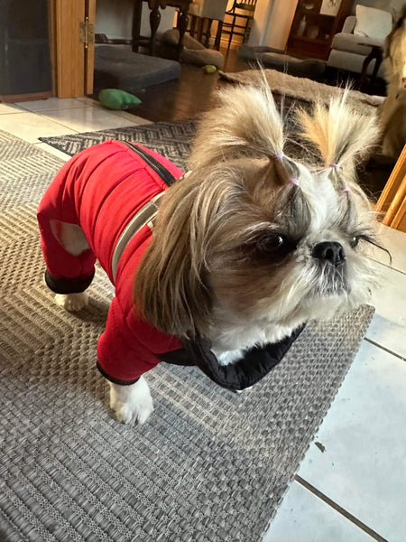 Waterproof four-legged onesie