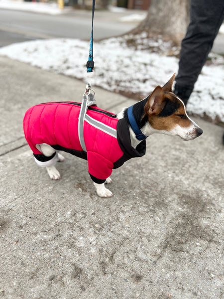 Waterproof four-legged onesie