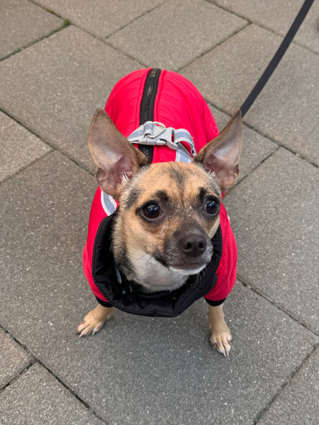 Waterproof four-legged onesie