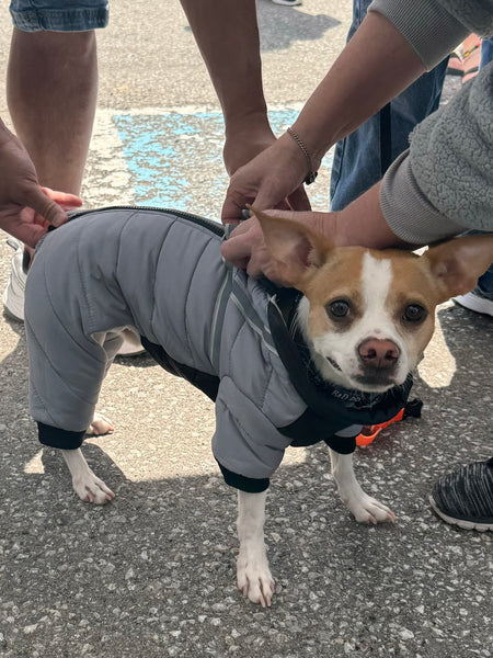 Waterproof four-legged onesie