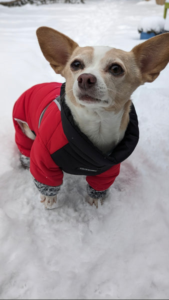 Waterproof four-legged onesie